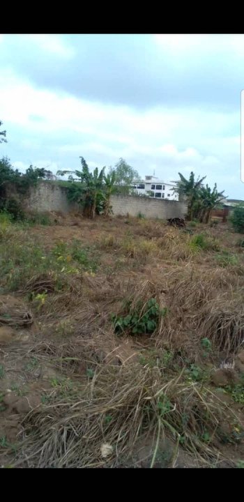 SONGON ADIAPOTO DERRIERE SOUS-PREFECTURE: 1 LOT DE 700 M² EN VENTE card image