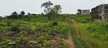 Terrains en vente à Songon card image